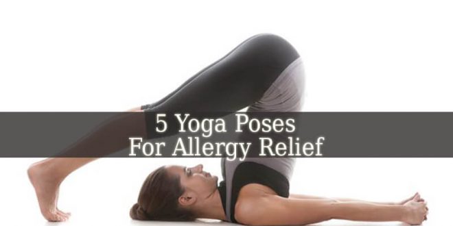Yoga Poses For Allergy Relief