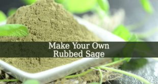 Rubbed Sage