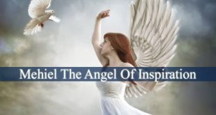 Angel Mehiel